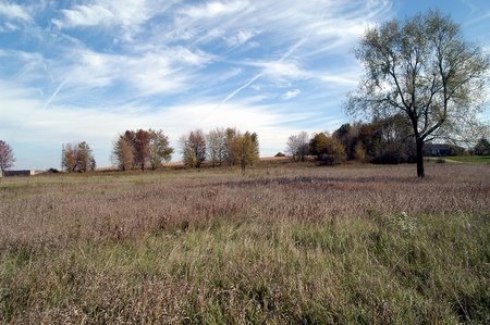 Coldwater Drive-In Theatre - The Lot Now (newer photo)